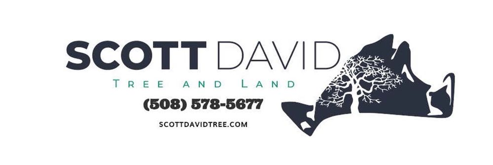 Scott David Tree and Land Logo