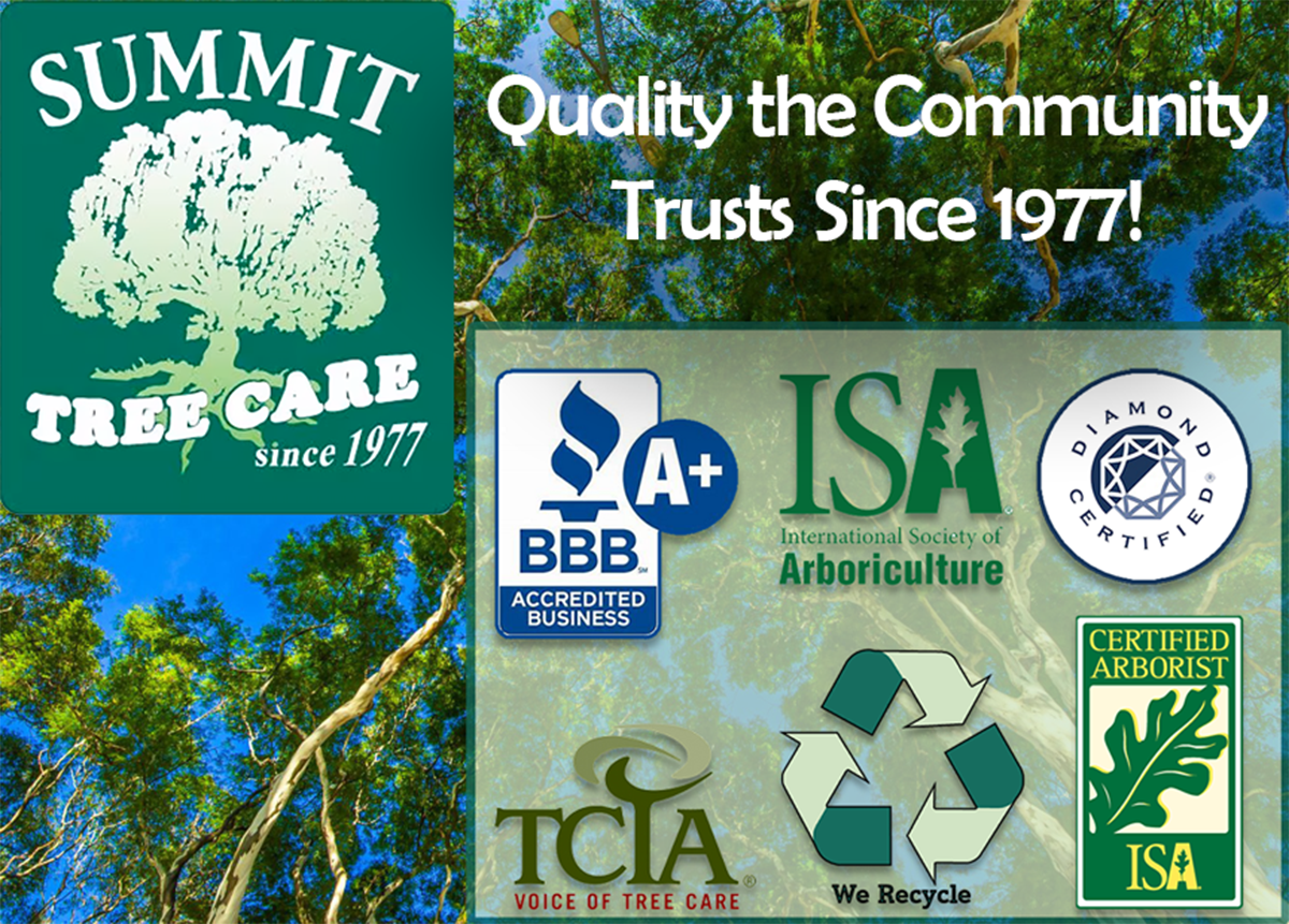 Summit Tree Care Services L.L.C. Logo