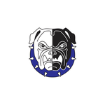 Ron's Diesel Dawg Diesel & Automotive LLC