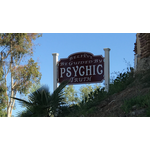Private psychic reader