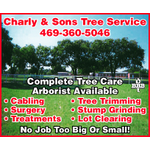 Charly and Sons Tree Service