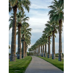 Palmetto Outdoor & Renovations LLC