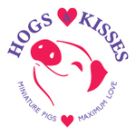 Hogs and Kisses-Miniature Pigs Maximum Love