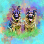 Affordable Dog and Puppy Training