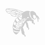 GrayBee Diesel & Performance