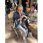 Holiday Springs of Escondido