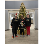 Holiday Willow Grove