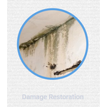 DG Cleaning & Carpet Care LLC