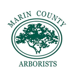 Marin County Arborists