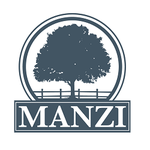 Manzi Insurance