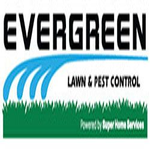 Evergreen Lawn Pest Control South Florida