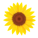 Sunflower Springs