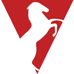 Mustang Wireline Services, LLC