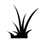 AZ Turf Installers