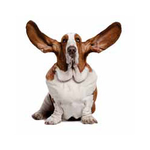 Calgary Hearing Aid & Audiology - Marlborough Mall
