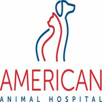 American Animal Hospital