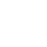 Savage Investment Consulting