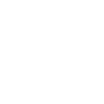 The Wellesley Group