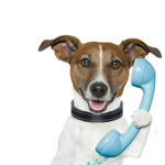 Jack Russell Insurance Agency