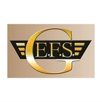 GEFS Insurance & Investments