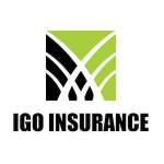 IGO Insurance Agency
