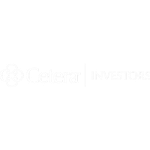 Cetera Investors