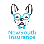 New South Insurance Group