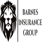 Barnes Insurance Group