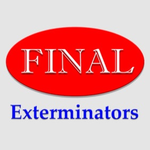 Final Exterminators