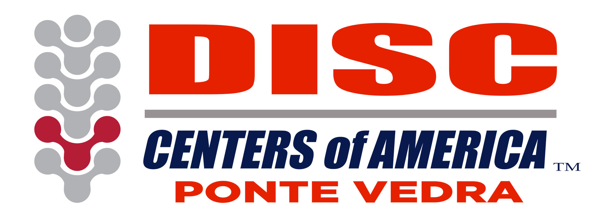Disc Centers of America - Ponte Vedra Logo