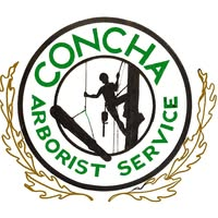 Juan Concha Arborist Service Logo