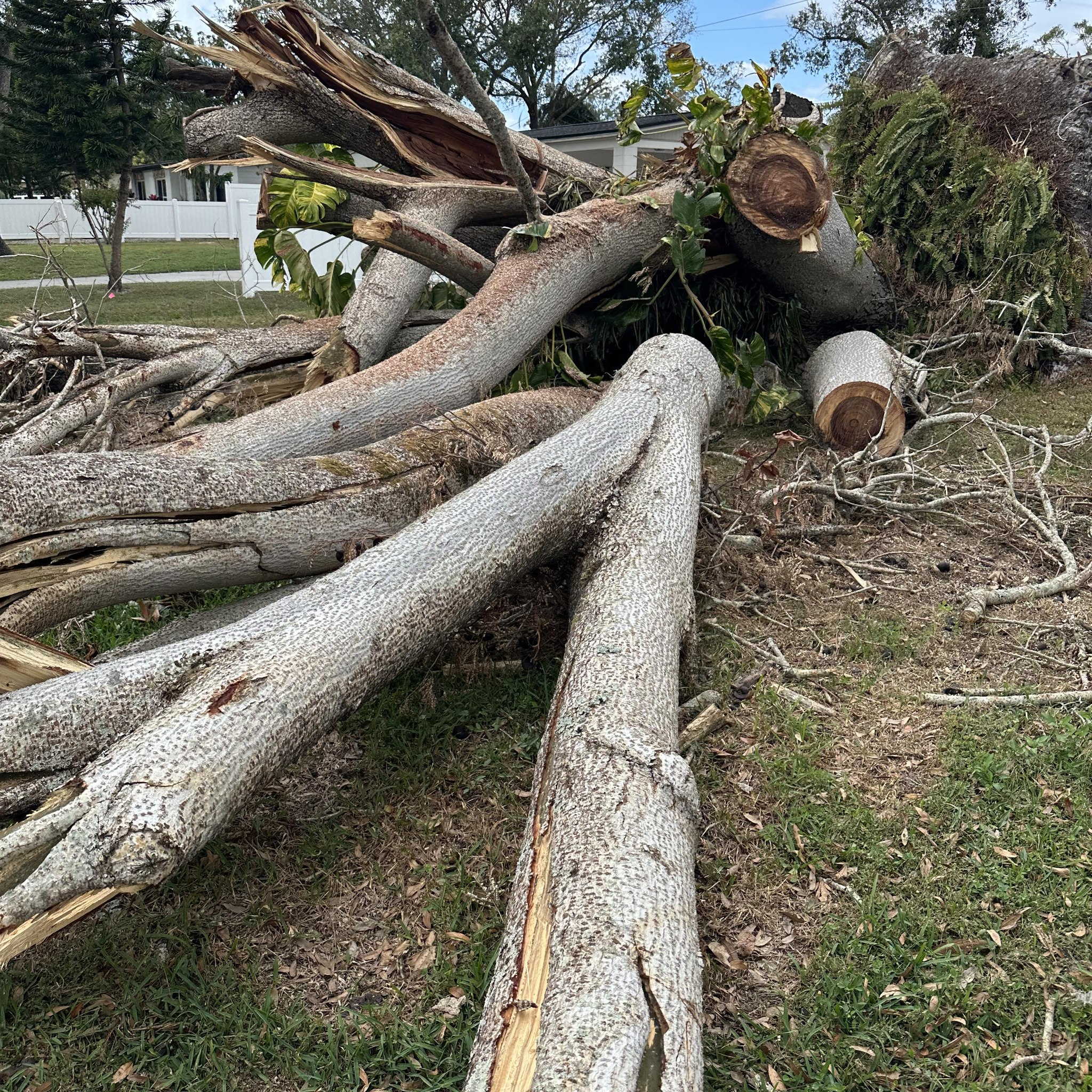 LKN Tree Service, LLC Logo