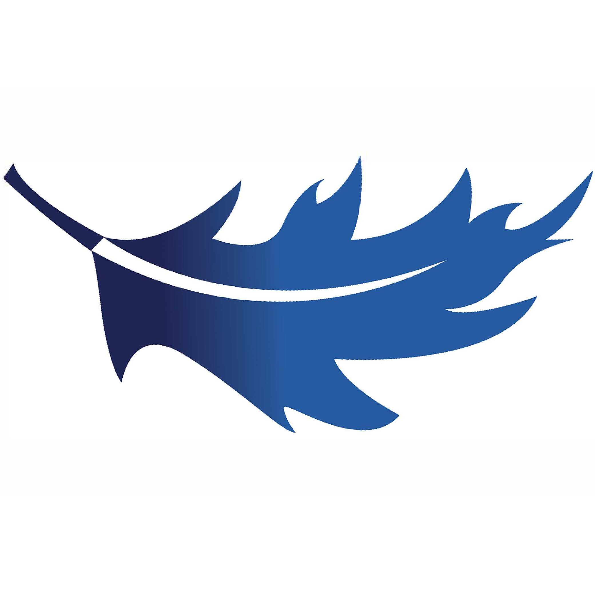 Lake Forest Smiles Logo