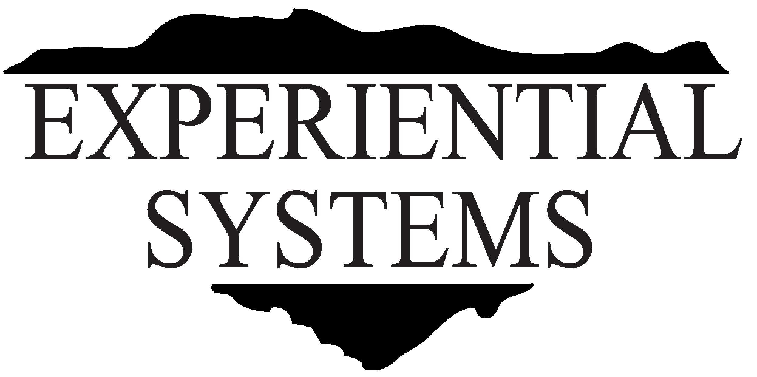 Experiential Systems Logo