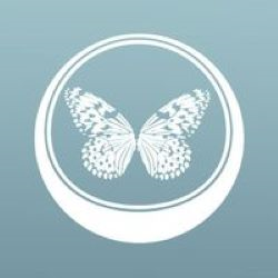 Ballantyne Plastic Surgery Logo