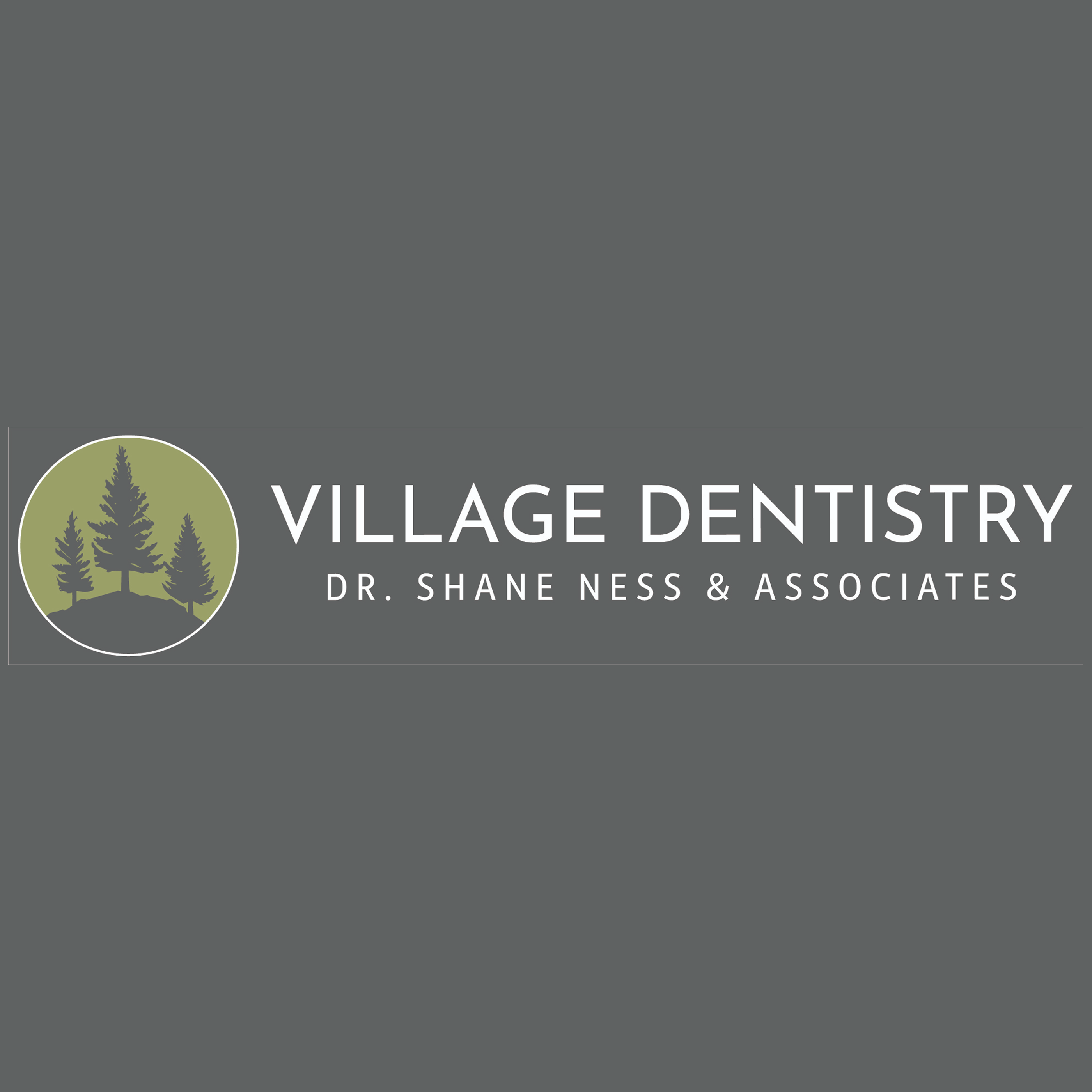 Village Dentistry: Dr. Shane Ness Logo