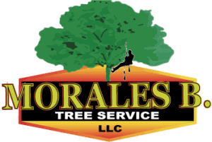 Morales Brothers Tree Service, LLC Logo