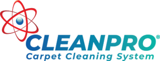 Clean Pro Nephi Logo