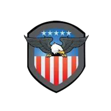 America Insurance Logo