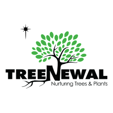 TreeNewal, Certified Arborist Logo