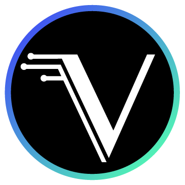 Vizeer Marketing Services Logo