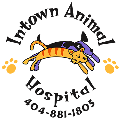 Intown Animal Hospital Logo