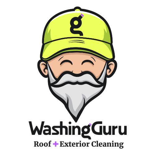 Washing Guru Logo