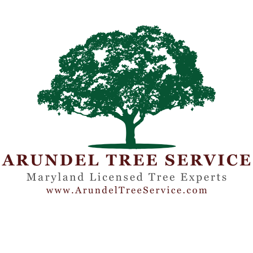 Arundel Tree Service Logo