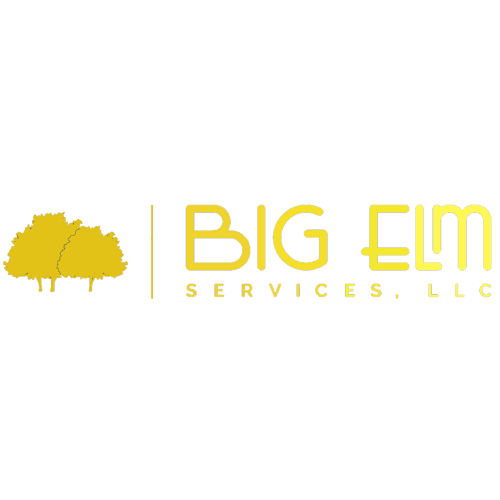Big Elm Services, LLC Logo