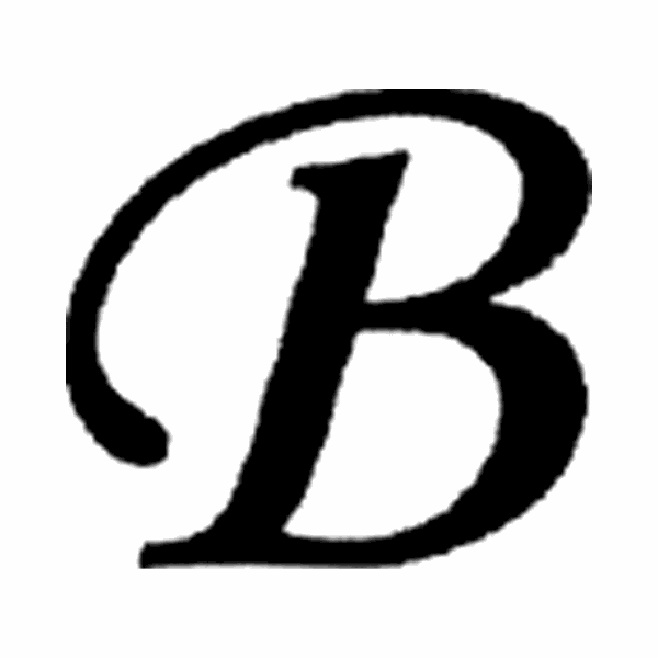 Byerly Insurance Services, Inc Logo