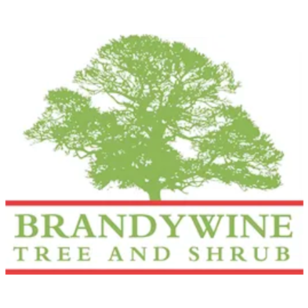 Brandywine Tree &amp; Shrub Logo