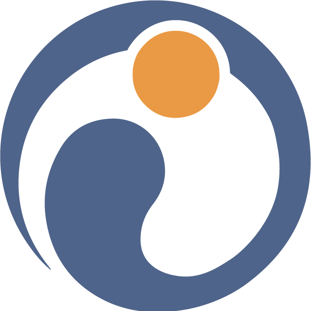 Ideal Option Logo