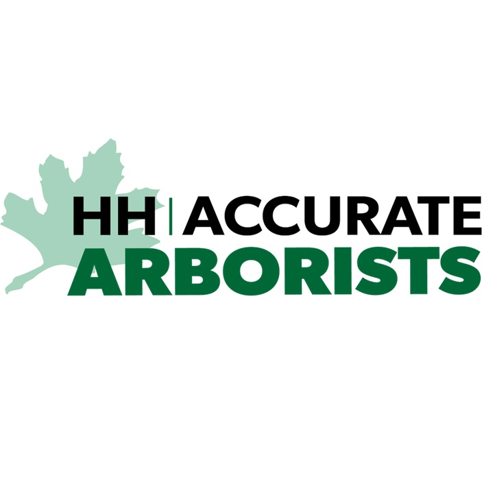 HH Accurate Logo