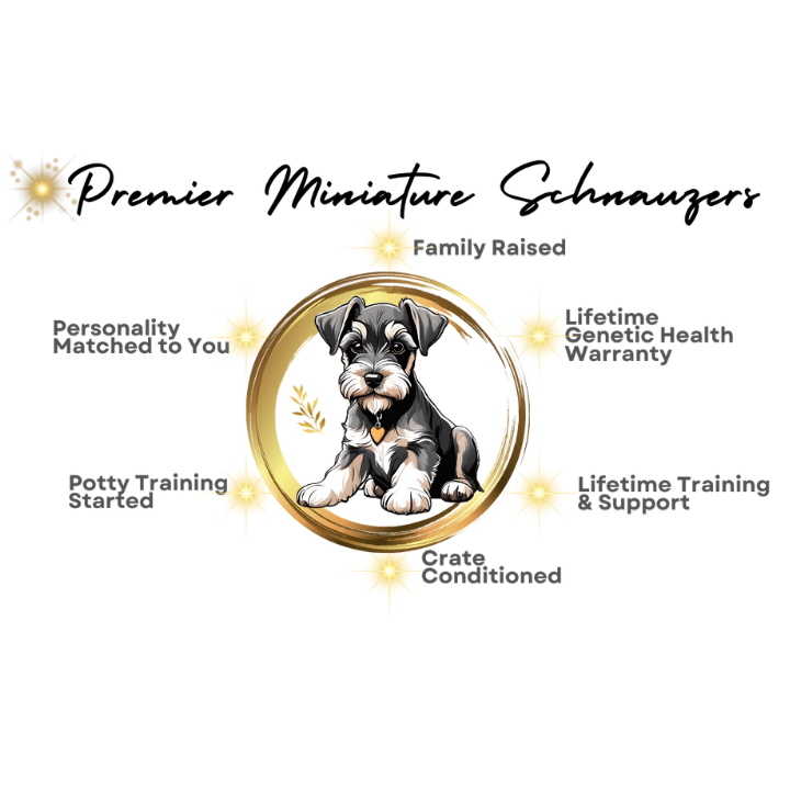 Premier Miniature Schnauzers Logo